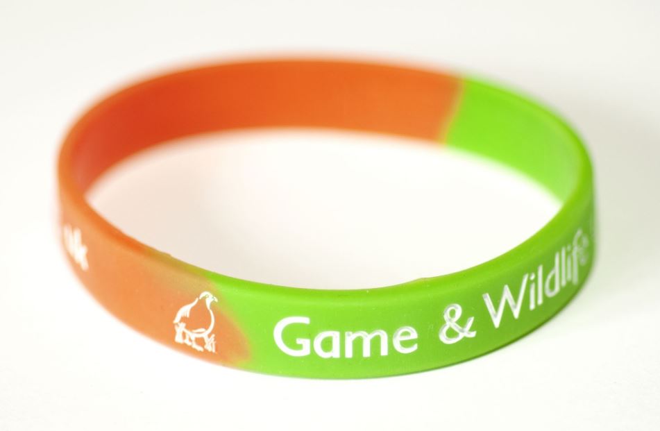 Silicone Wristband -  UK