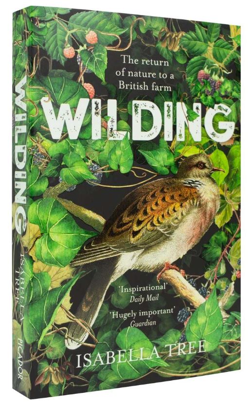 "An honest account of how land management can be tipped in favour of wildlife": A review of Wilding by Isabella Tree