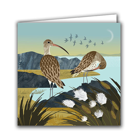 Curlews and Cotton Grass Greeting Card