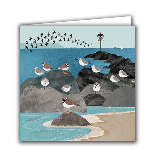 Dunlin and Ringed Plover Greeting Card