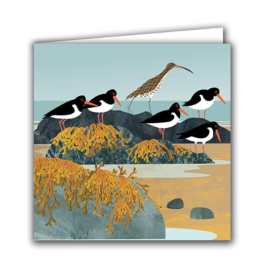 Curlew and Oystercatchers Greeting Card