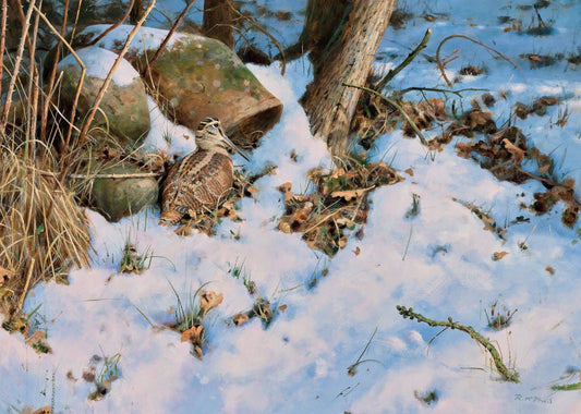 Winter Woodcock by Rodger McPhail - Pack of 10 GWCT Christmas Cards 2024