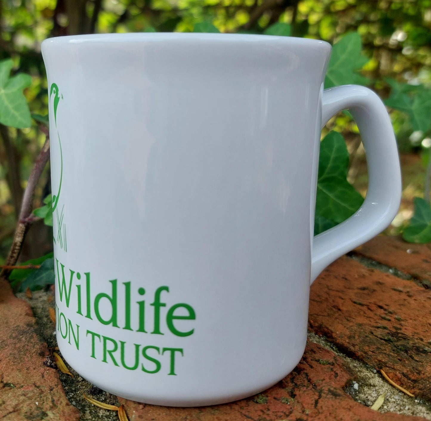 GWCT Mug