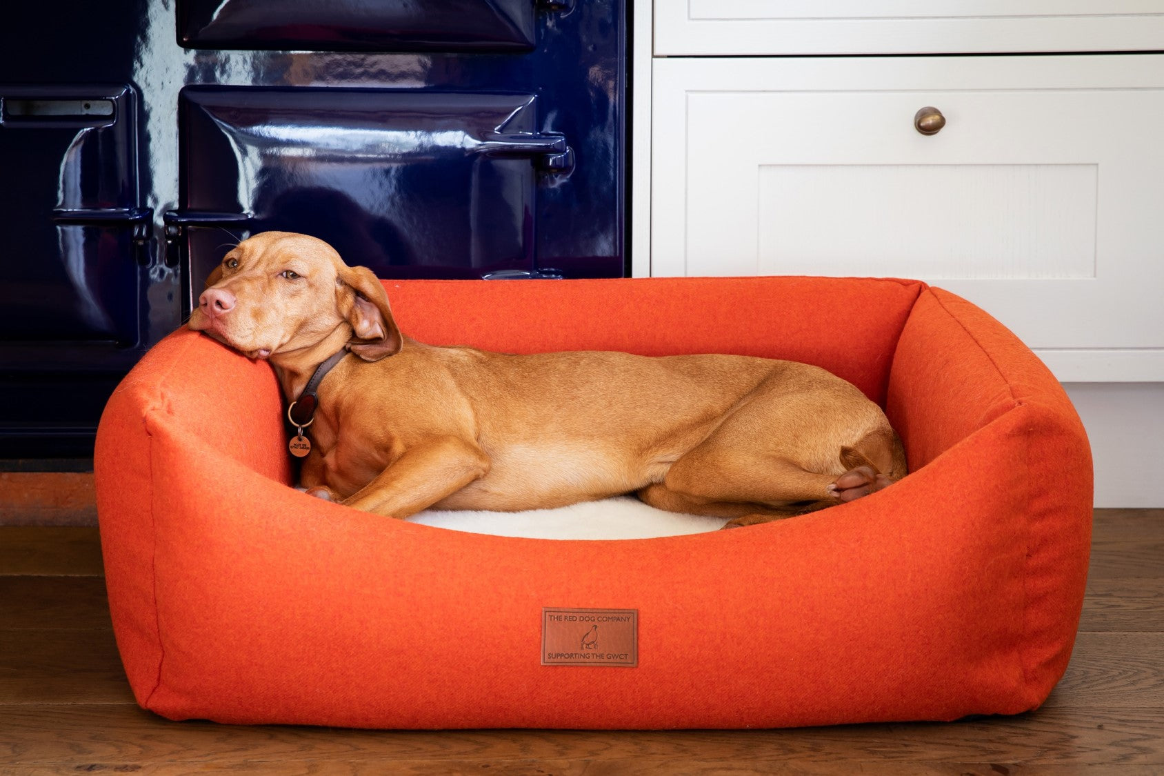 Large red dog sales bed